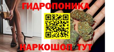 индика Тула