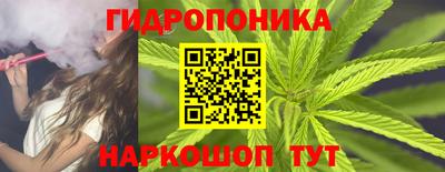 индика Тула