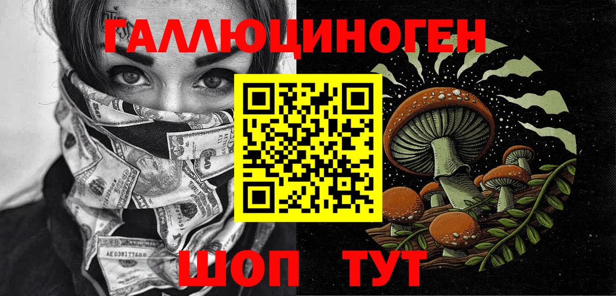 Галлюциногенные грибы Cubensis  как найти наркотики  Сегежа  Вход с VPN 